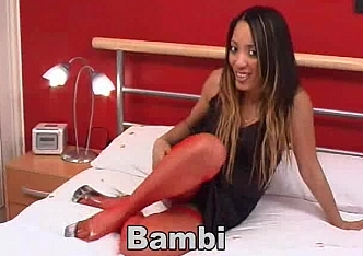 content/bambistocks/0.jpg